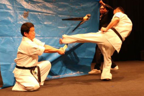 チャリティー定期講演会＆武道空手演武会