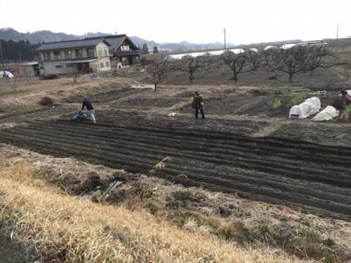 ディヤーナ国際学園 畑で野菜作り