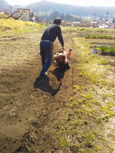 宮下さん、耕耘機で畝を作る